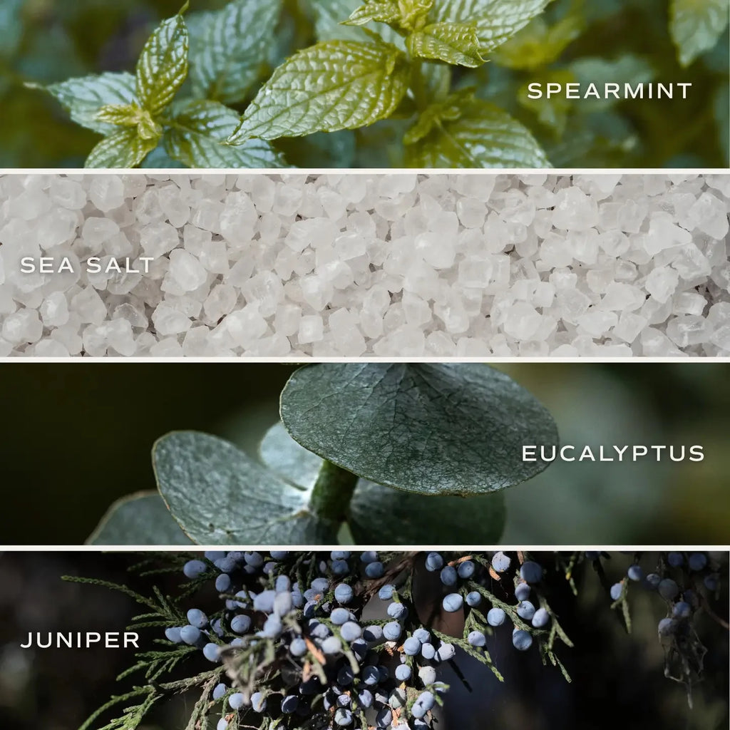 Sweet Water Restore + Renew Bath Bomb