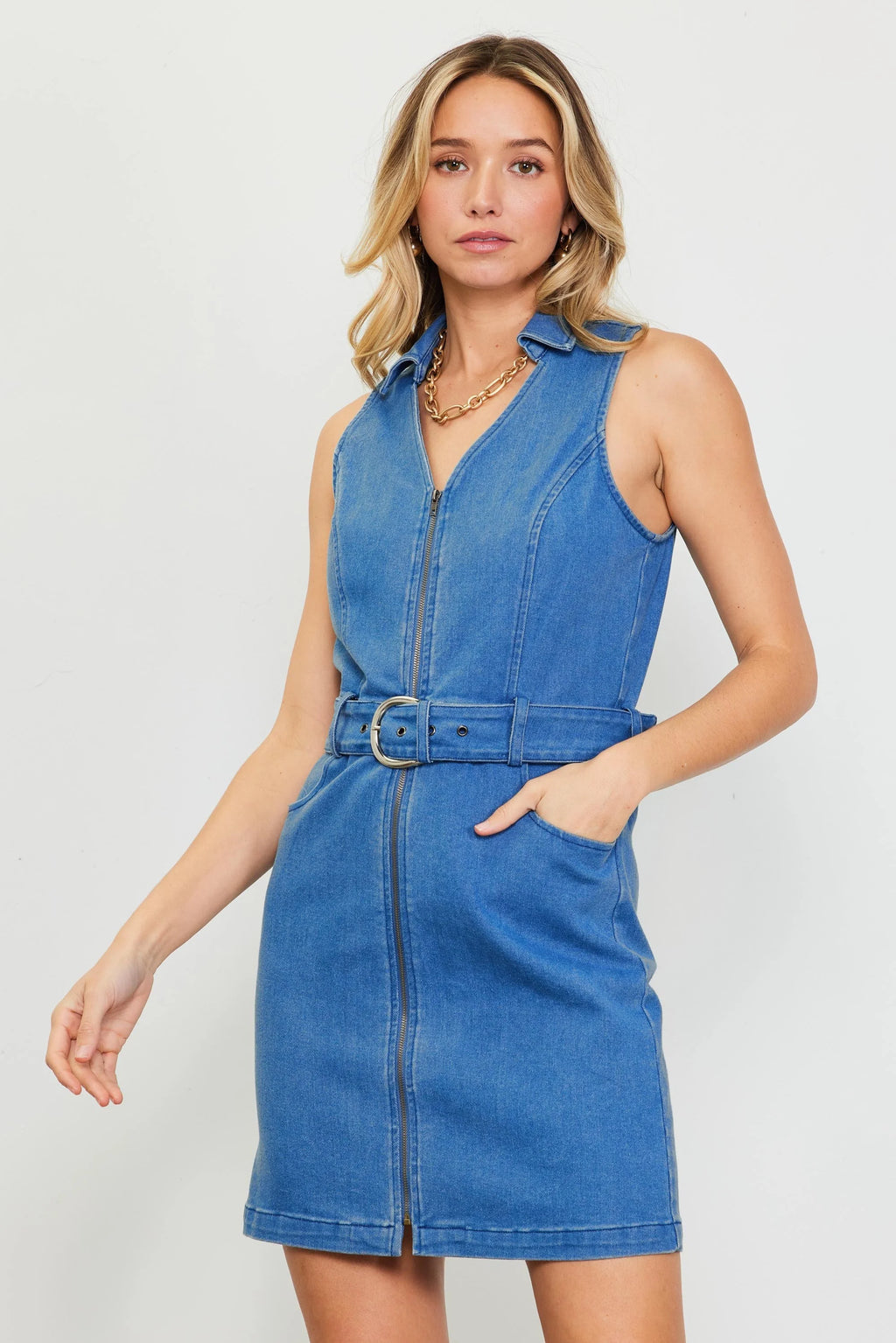 Skies Are Blue Daphne Denim Dress
