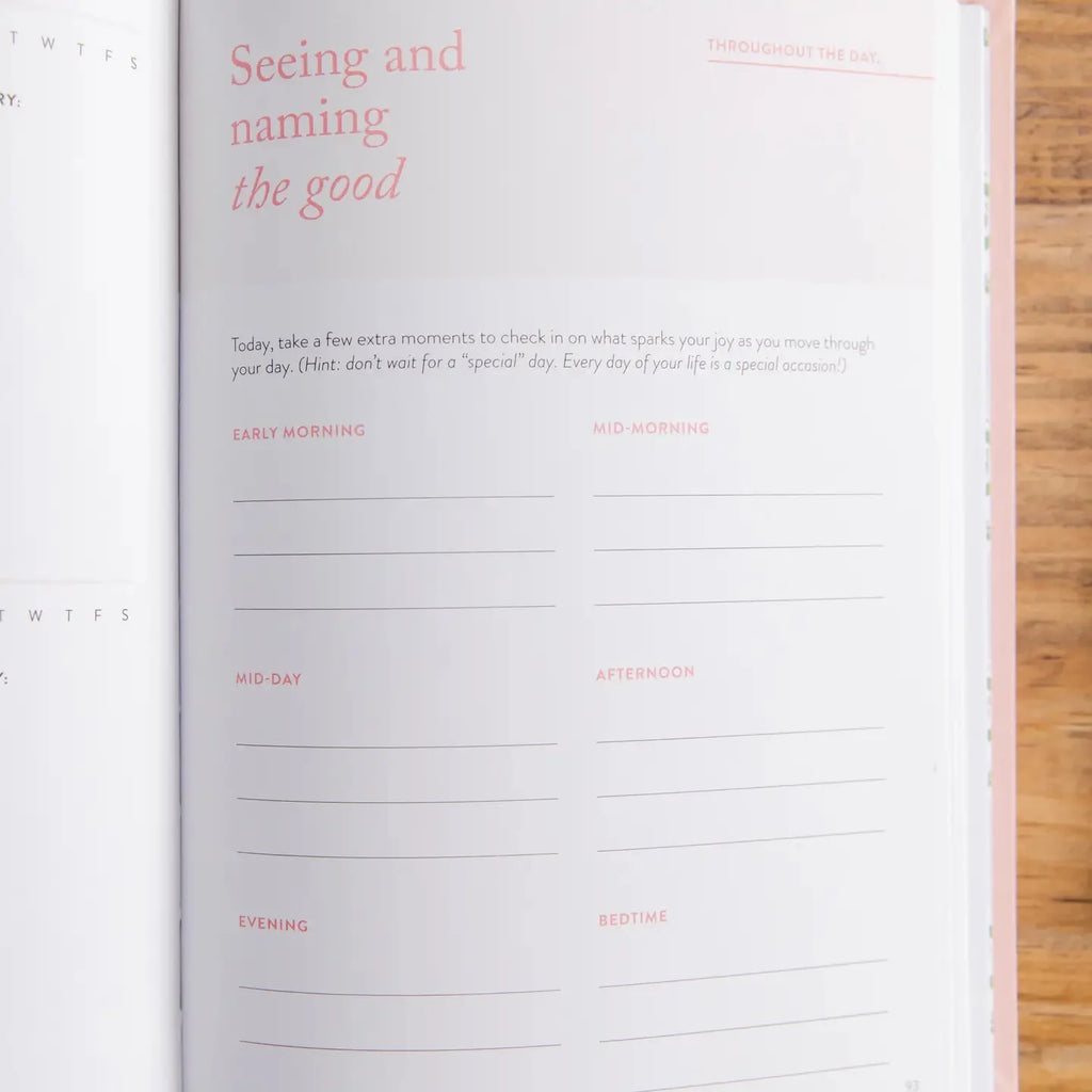 Daily Grace Gratitude Journal