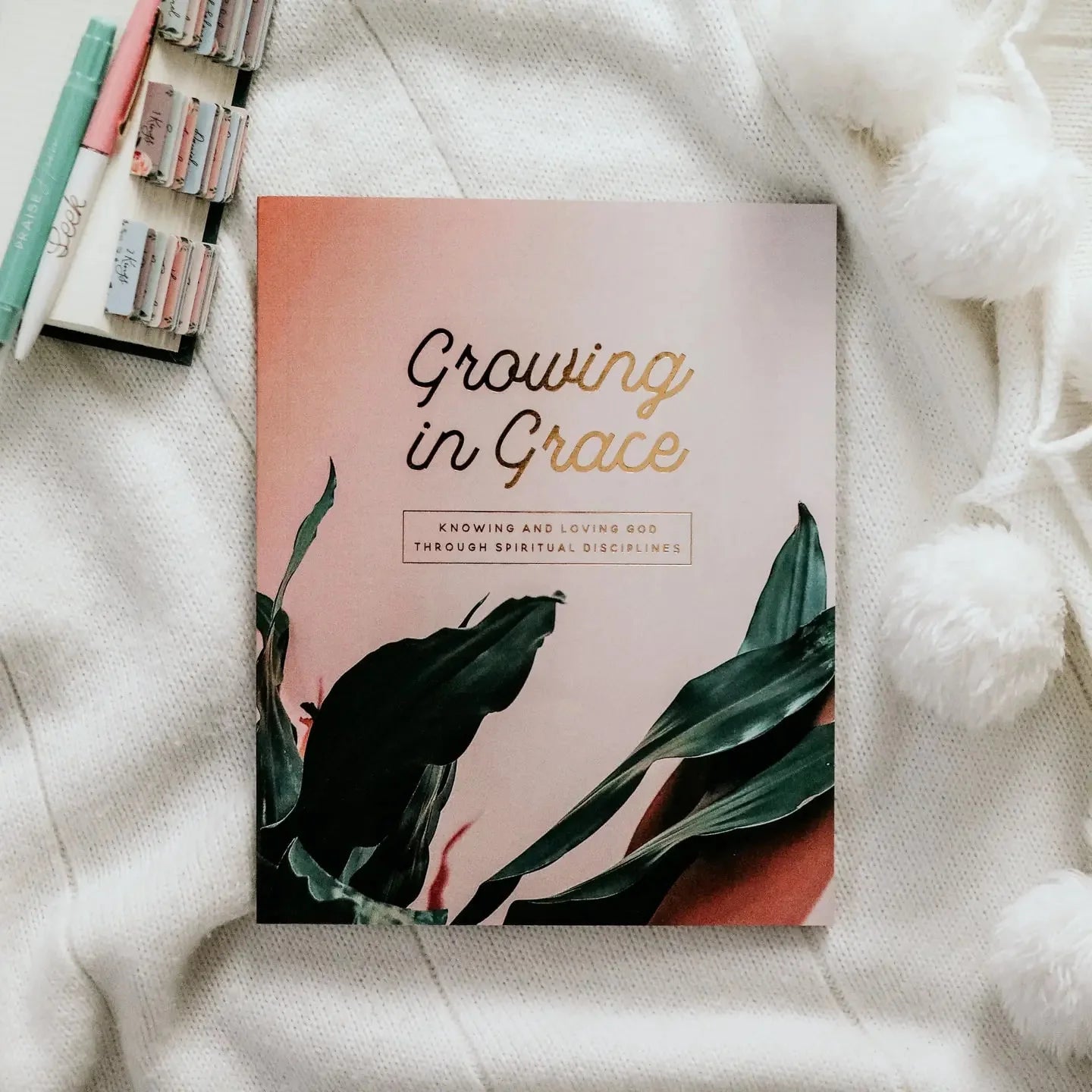 Daily Grace Growing In Grace Study