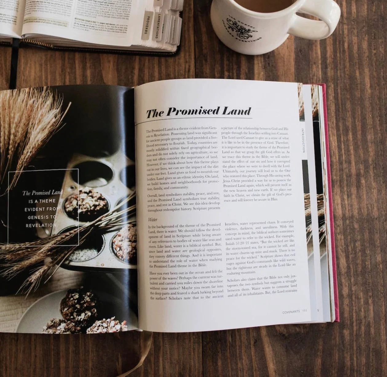 Daily Grace Bible Themes Handbook